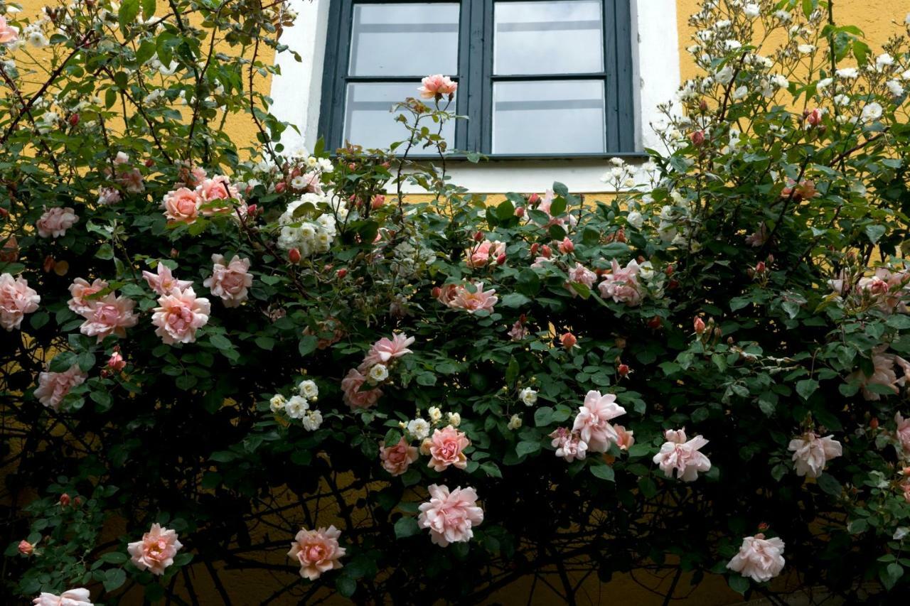 Bed and Breakfast Marienschloessl Wiedendorf Экстерьер фото