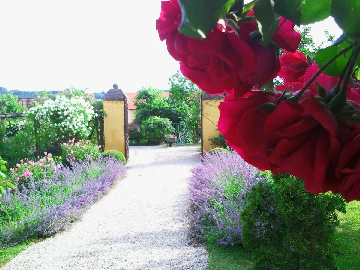 Bed and Breakfast Marienschloessl Wiedendorf Экстерьер фото